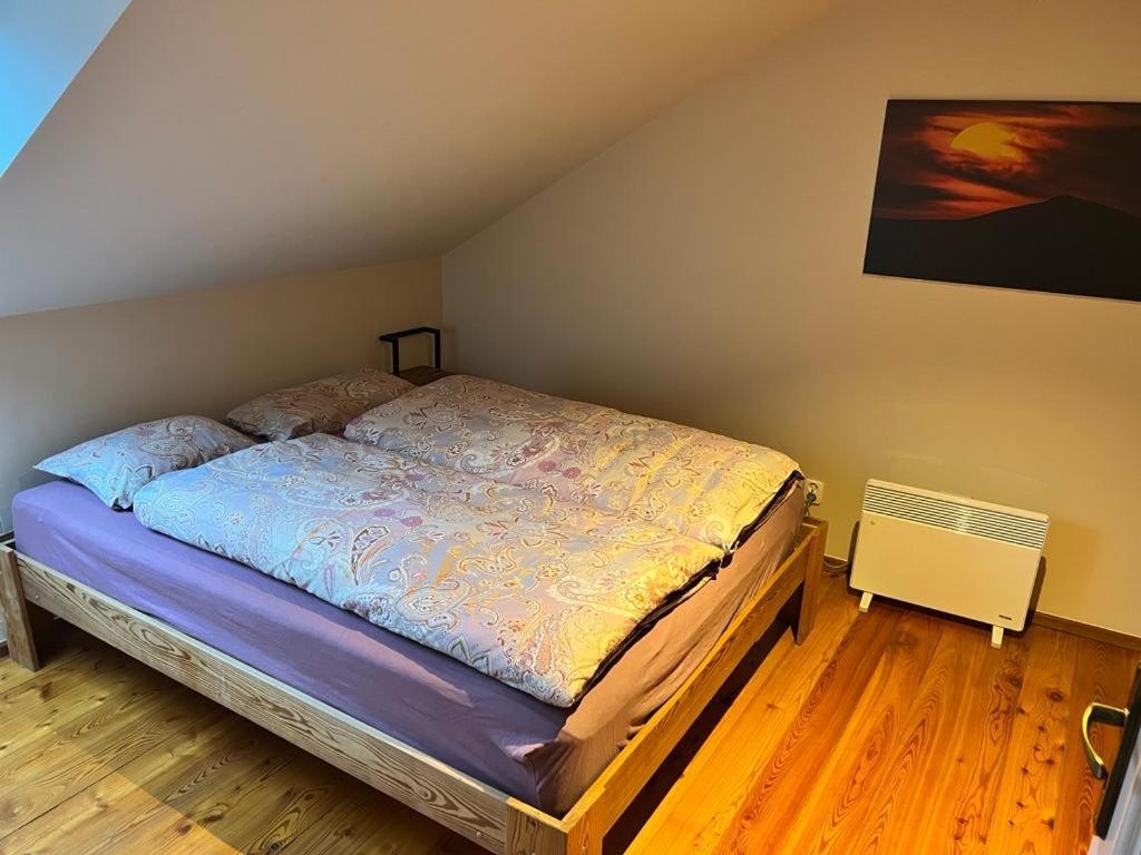 Duzy Apartament Duszniki-Zdroj Duszniki Zdrój Eksteriør billede